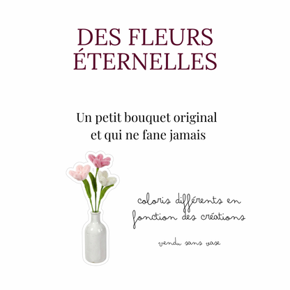 Box Mère-veilleuse